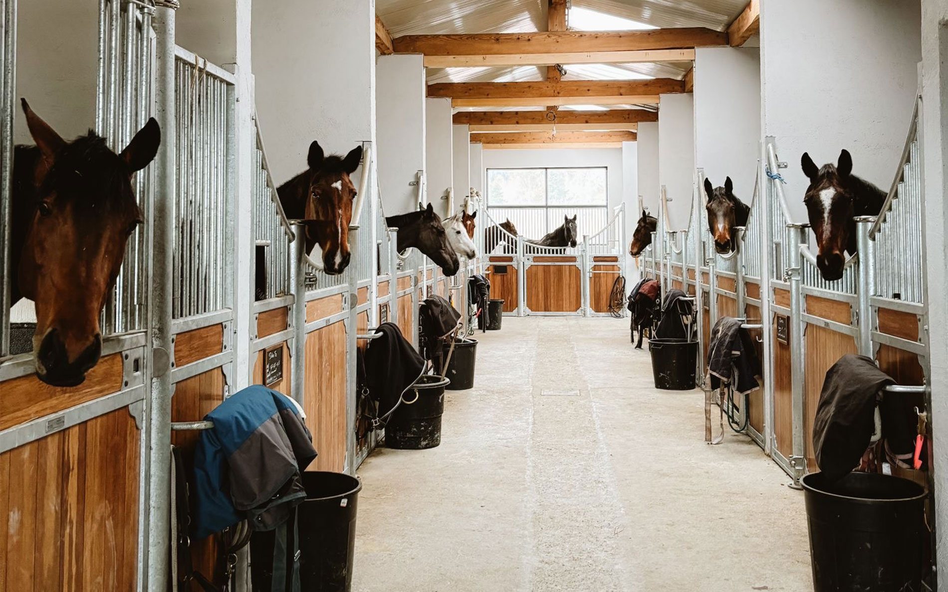 Politique de confidentialit&eacute; (UE)