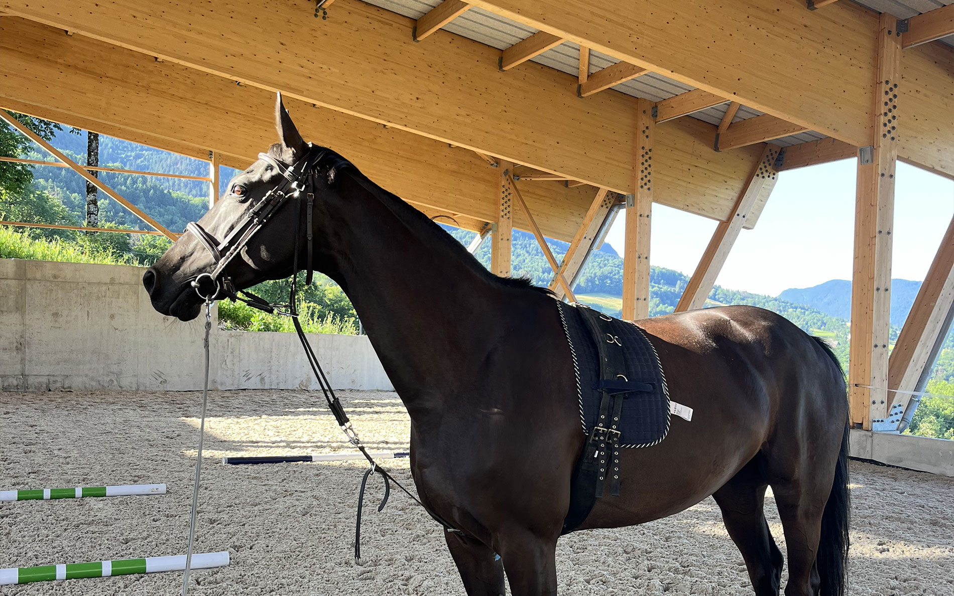 Prestations des &eacute;curies du Parmelan