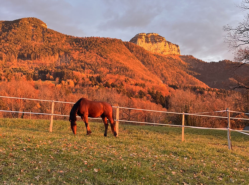 Un lieu s&eacute;curis&eacute;