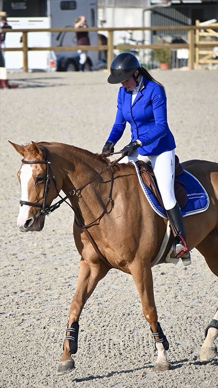 Comp&eacute;tition cheval