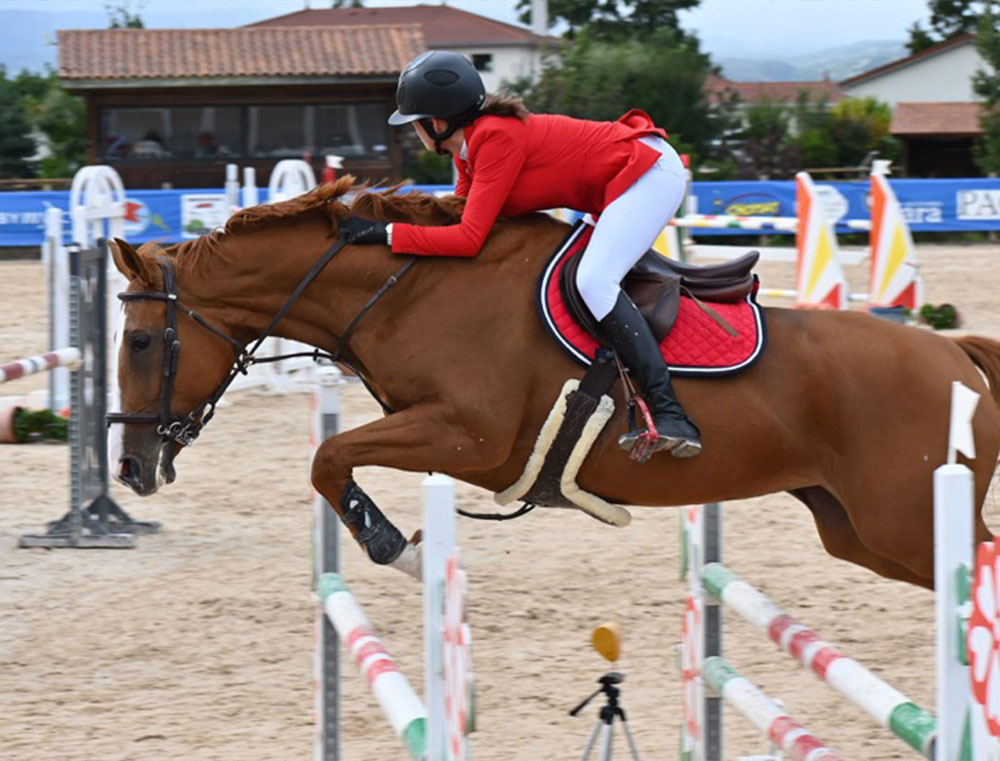 Comp&eacute;tition &eacute;questre