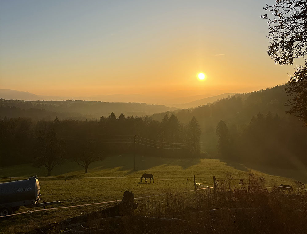 Couch&eacute;e de soleil au parmelan