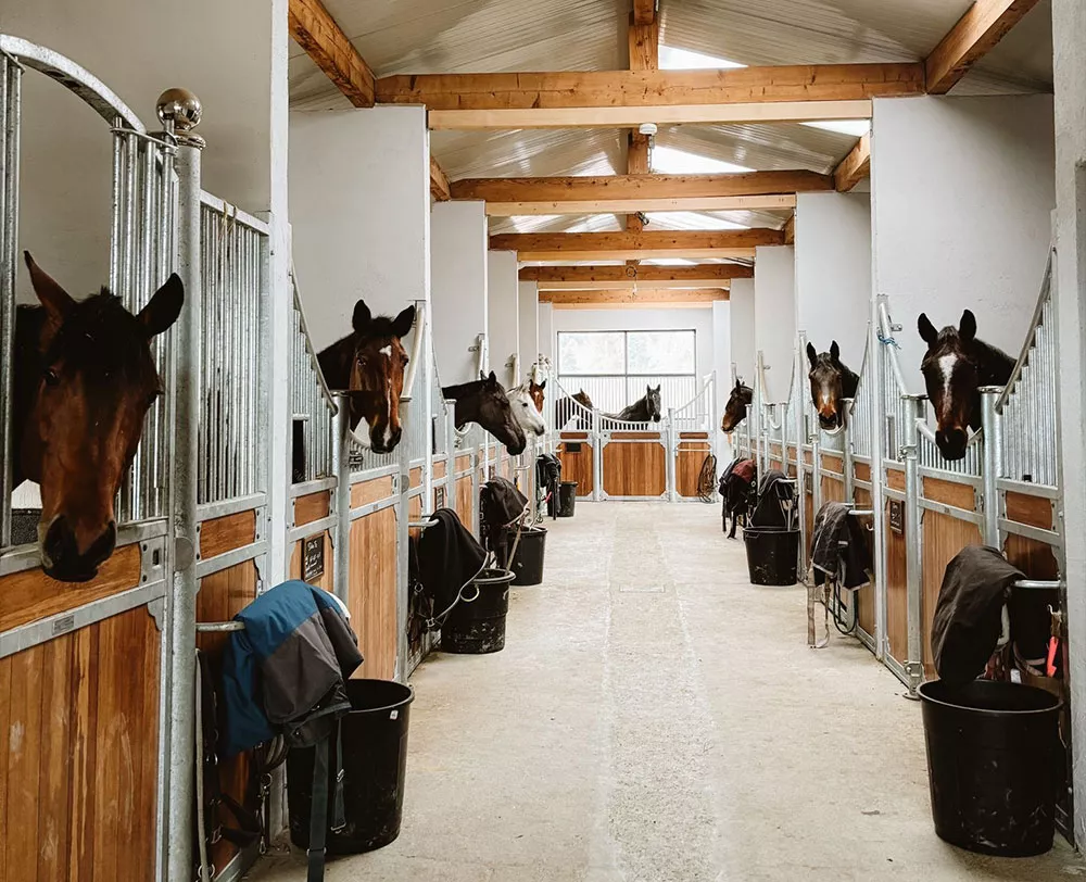 espaces de vie &eacute;curies