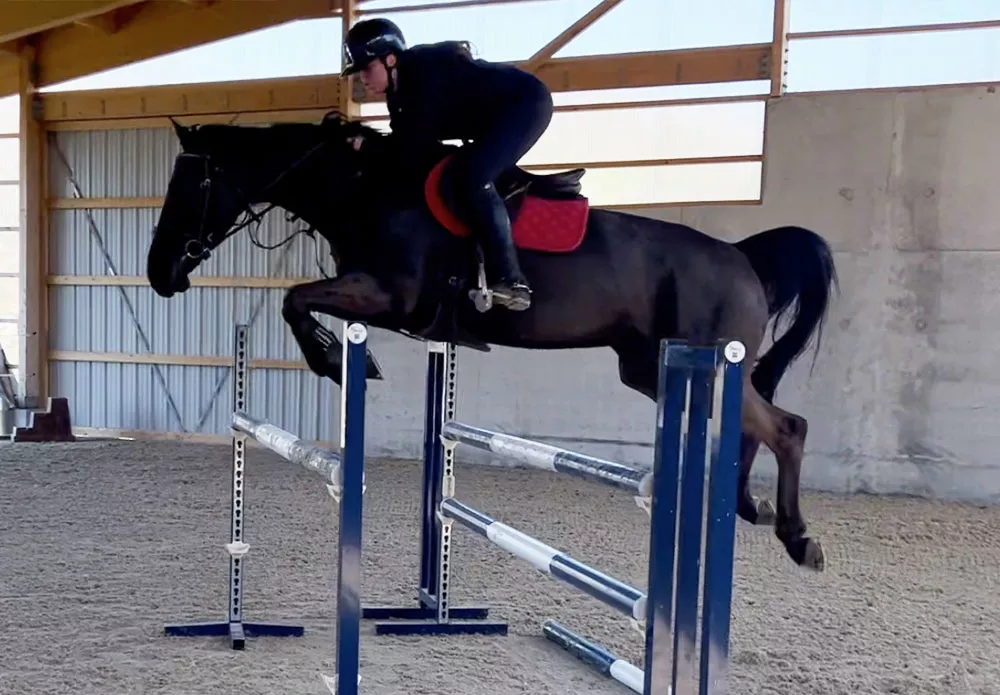 Prestation &agrave; la carte